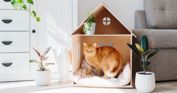 5 Ways To Keep Your Pets Safe While You’re Not Home