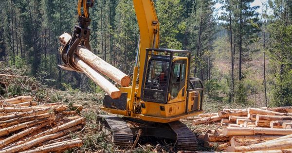What You Need To Know About the Different Types of Logging