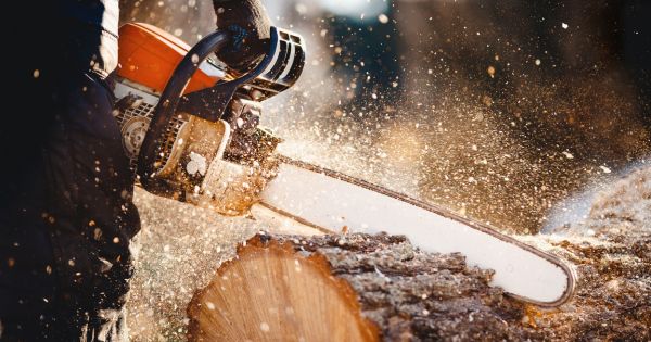 A Quick Look at the Best Tools To Use for Logging