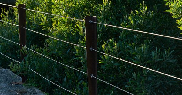 The Future of Cable Railings: Innovations and Trends